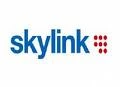 Cccam SKYLINK HD PACKAGE